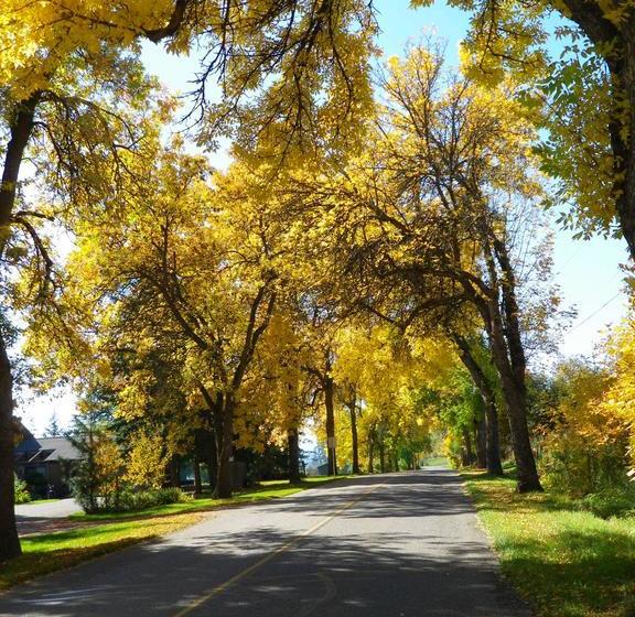 Motel Armstrong Inn | Armstrong | British Columbia | Canada 9