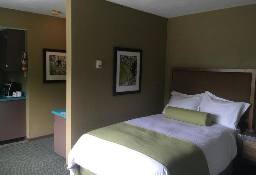 Totem Lodge Motel | Prince Rupert | British Columbia | Canada 15