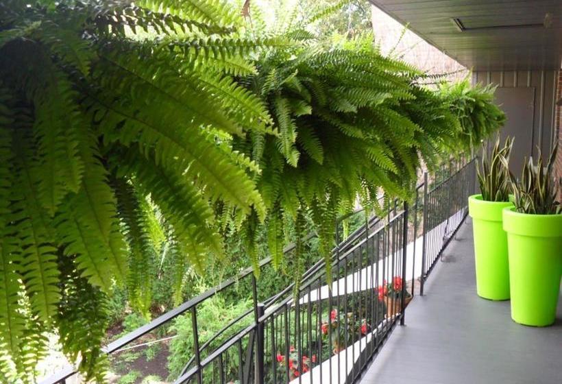 Bed and Breakfast Studio Living | Montreal | Québec | Hôtels au Canada 20