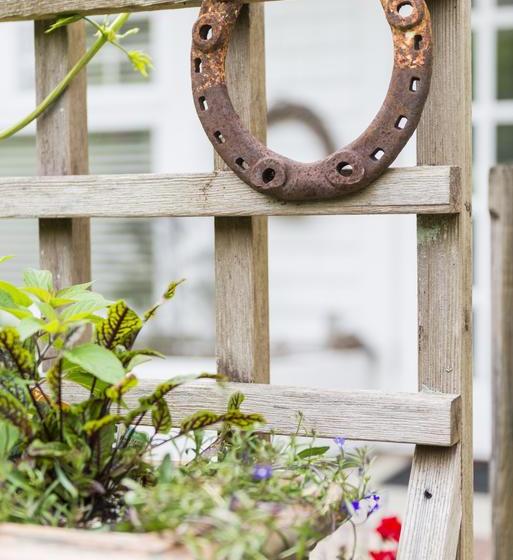 Bed and Breakfast Thistledown House | North Vancouver | British Columbia | Canada 20