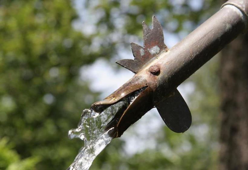 Bed and Breakfast Thistledown House | North Vancouver | British Columbia | Canada 9