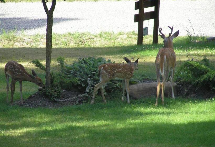 End Of The Road Bed And Breakfast | Cranbrook | British Columbia | Canada 19