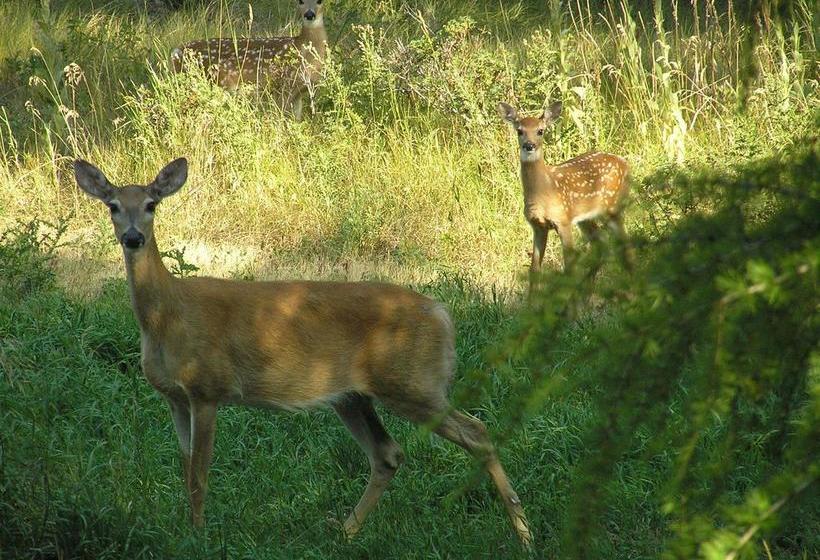 End Of The Road Bed And Breakfast | Cranbrook | British Columbia | Canada 20