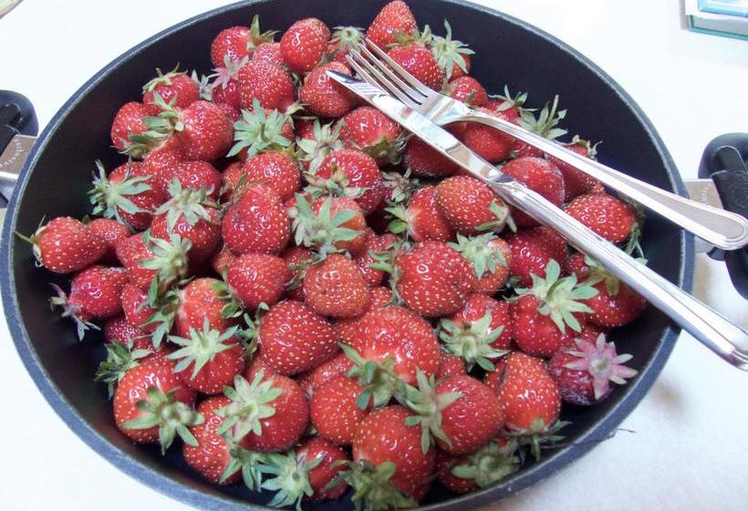 End Of The Road Bed And Breakfast | Cranbrook | British Columbia | Canada 5