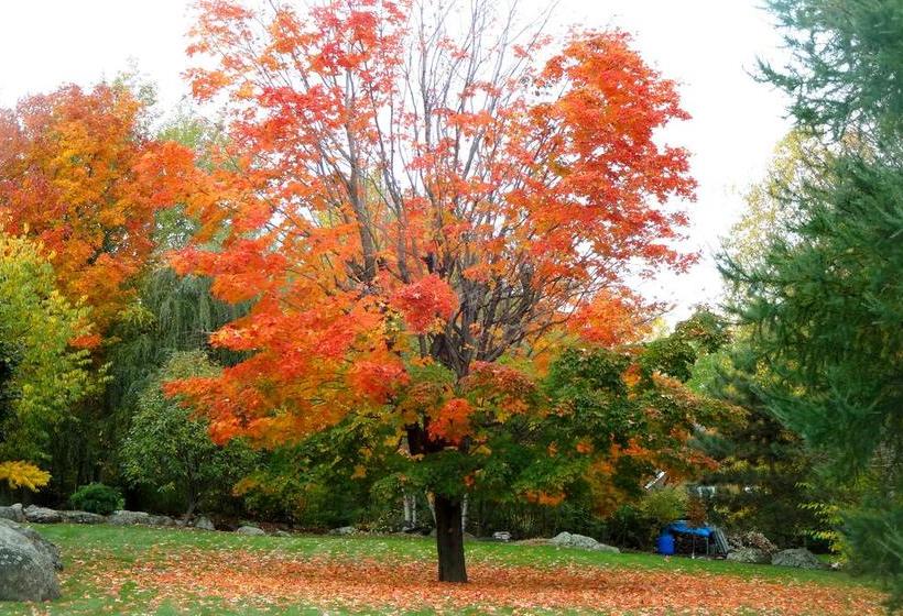 Motel Tremblant | Mont Tremblant | Quebec | Canada 1