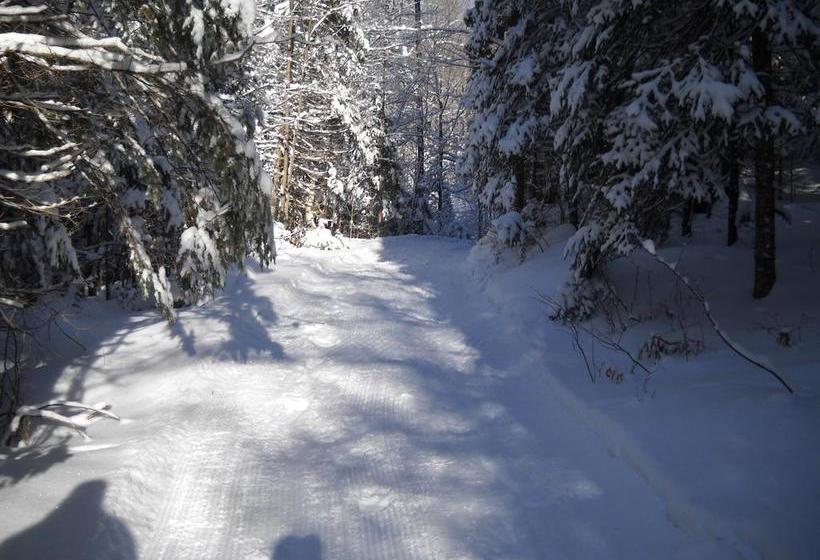 Lakeview Motel | Haliburton | Ontario | Canada 9