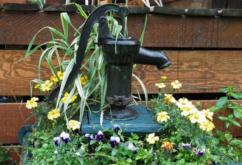 Kicking Horse Canyon B&b | Golden | British Columbia | Canada 18