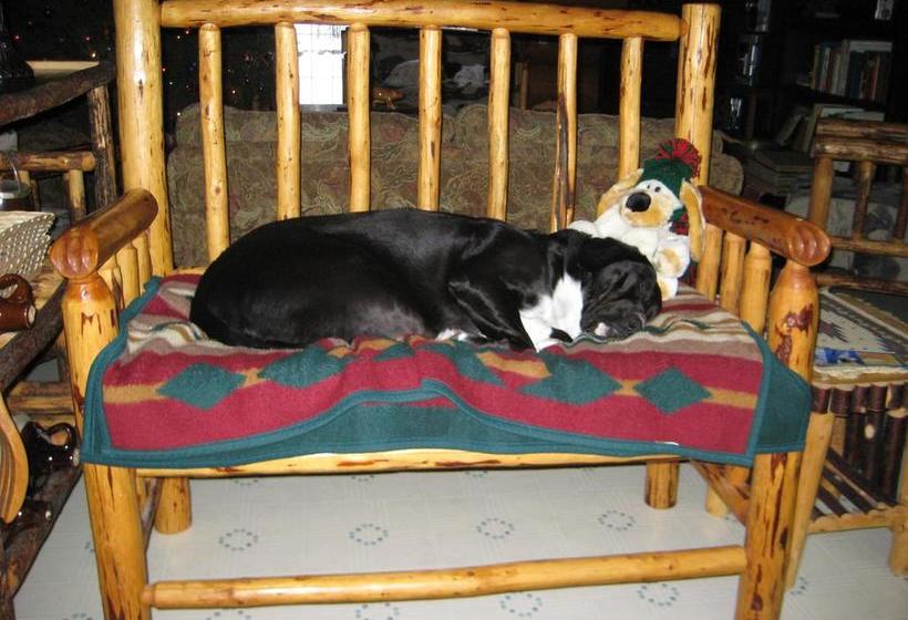 Kicking Horse Canyon B&b | Golden | British Columbia | Canada 20