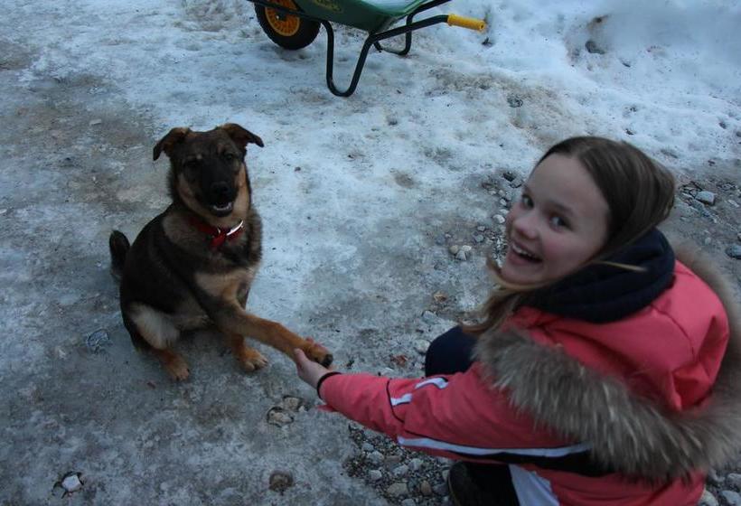 Kicking Horse Canyon B&b | Golden | British Columbia | Canada 3