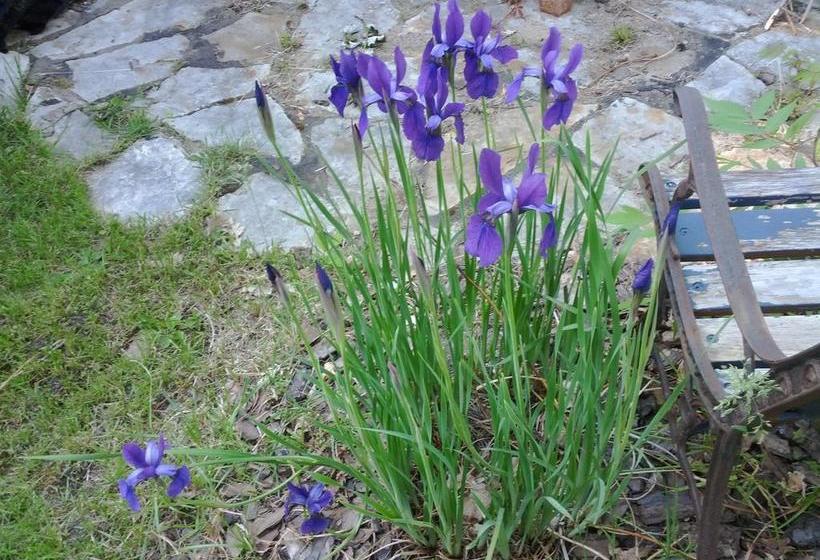 Motel Montgolfière Jp | Saint Jean sur Richelieu | Quebec | Canada 12