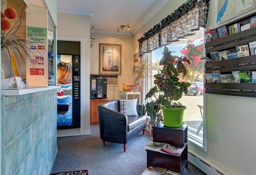 Motel Lévis | Levis | Quebec | Canada 3