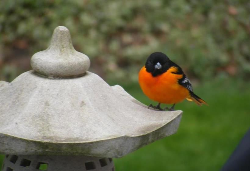 Tranquil Moments Bed & Breakfast | Delhi | Ontario | Canada 2