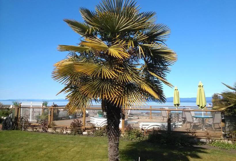 Hotel Buena Vista By The Sea | Qualicum Beach | British Columbia | Canada 10