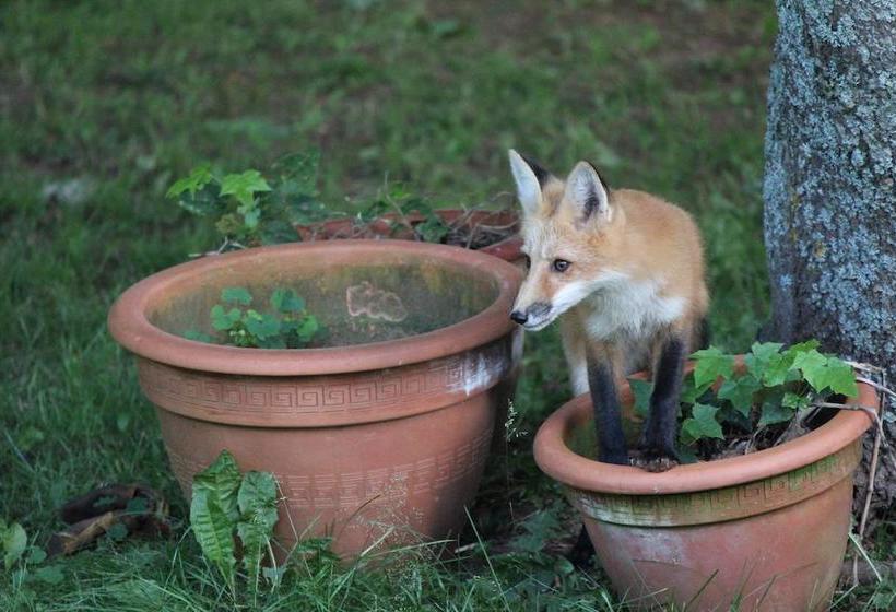 Warn House Bed And Breakfast | Summerside | Prince Edward Island | Canada 15