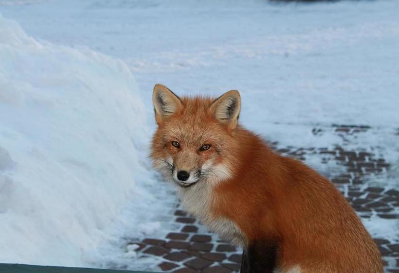 Warn House Bed And Breakfast | Summerside | Prince Edward Island | Canada 16