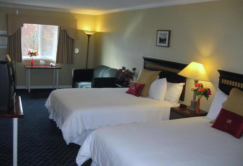 Motel Revelstoke Gateway Inn | Revelstoke | British Columbia | Canada 13