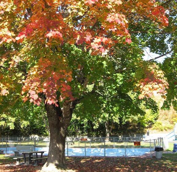 Motel Revelstoke Gateway Inn | Revelstoke | British Columbia | Canada 17