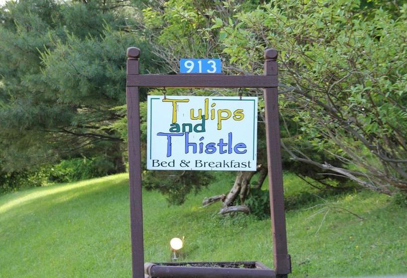 Tulips And Thistle B&b | Truro | Nova Scotia | Canada 3