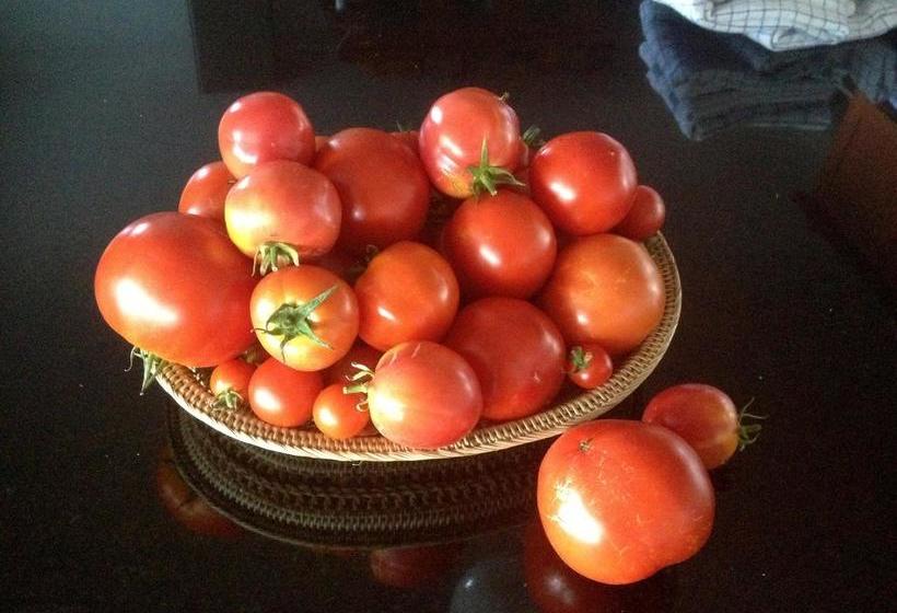 Hidden Harbour Vacation Rental And B&b | Campbell River | British Columbia | Canada 11