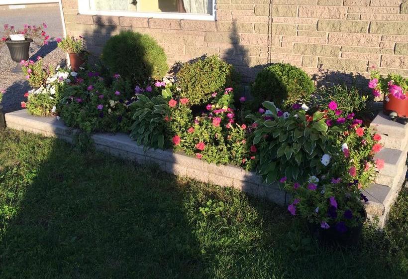 Trunk Road Motel | Sault Sainte Marie | Ontario | Canada 18