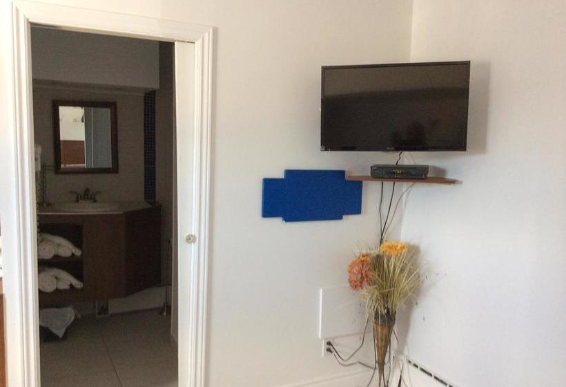 Miami Motel | Trois Rivieres | Québec | Canada 13