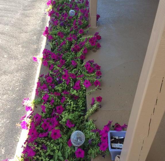 Palace Inn Motel | Sarnia | Ontario | Canada 14