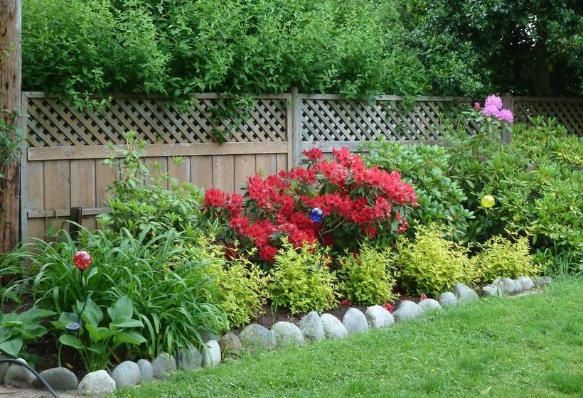 Beachway Vacation Rental & B&b Suites | Campbell River | British Columbia | Canada 6