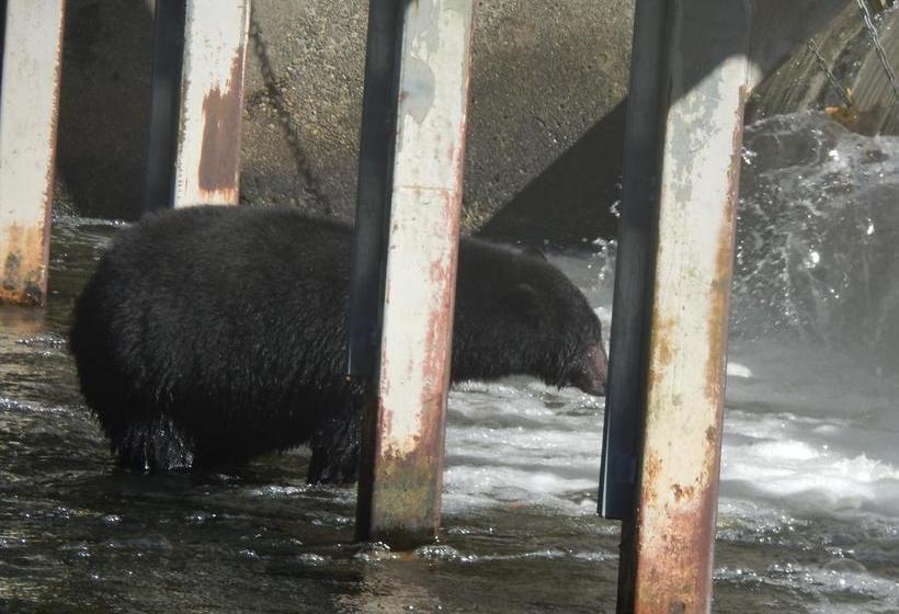 Money Pennies Bed And Breakfast | Campbell River | British Columbia | Canada 14