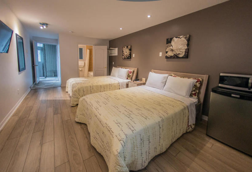 Motel Auberge St. Jacques | Montreal | Quebec | Canada 3