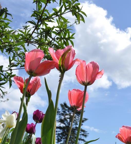 Stafford House Bed & Breakfast | Courtenay | British Columbia | Canada 10