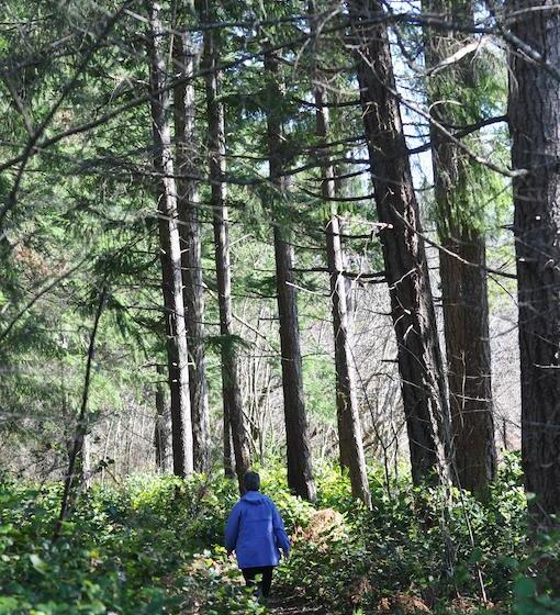 Stafford House Bed & Breakfast | Courtenay | British Columbia | Canada 11