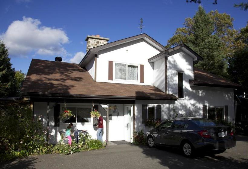 Bed and Breakfast Gîte Couette Et Girouette