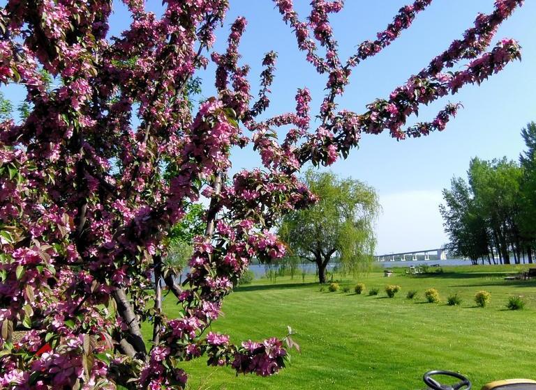 Bed and Breakfast Gîte Saintlaurent | Trois Rivieres | Quebec | Canada 16
