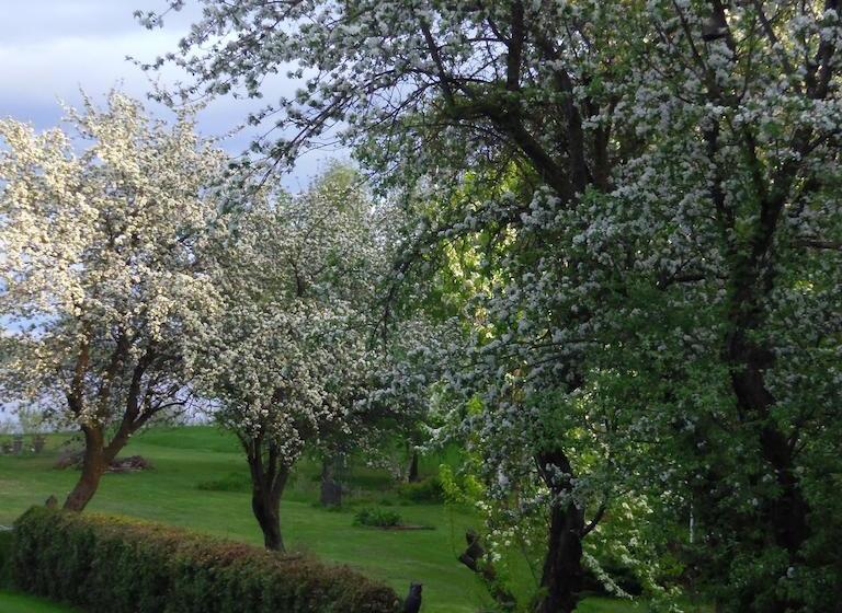 Bed and Breakfast Gîte Saintlaurent | Trois Rivieres | Quebec | Canada 18