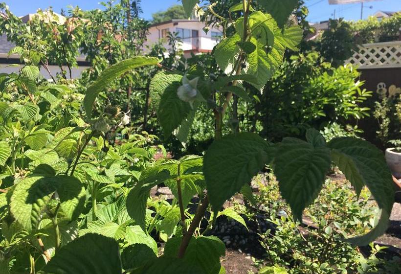 Diana S Luxury Bed And Breakfast | Vancouver | Colúmbia Britânica | Canadá 13