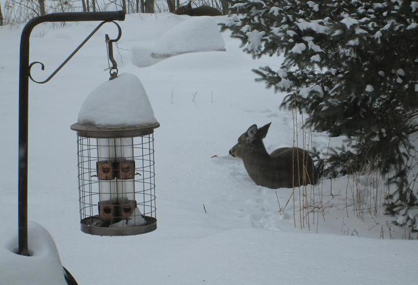 Bed and Breakfast Gite De Brouage | Gatineau | Quebec | Canada 17