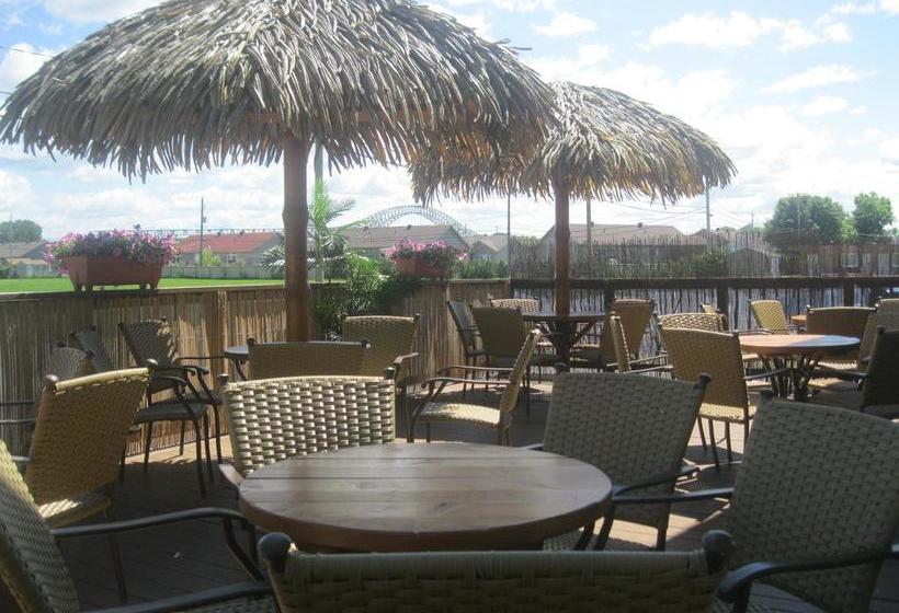 Motel Coconut | Trois Rivieres | Quebec | Canada 18