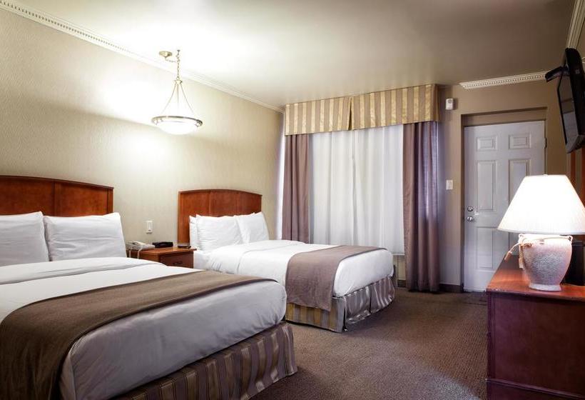 Motel Coconut | Trois Rivieres | Quebec | Canada 3