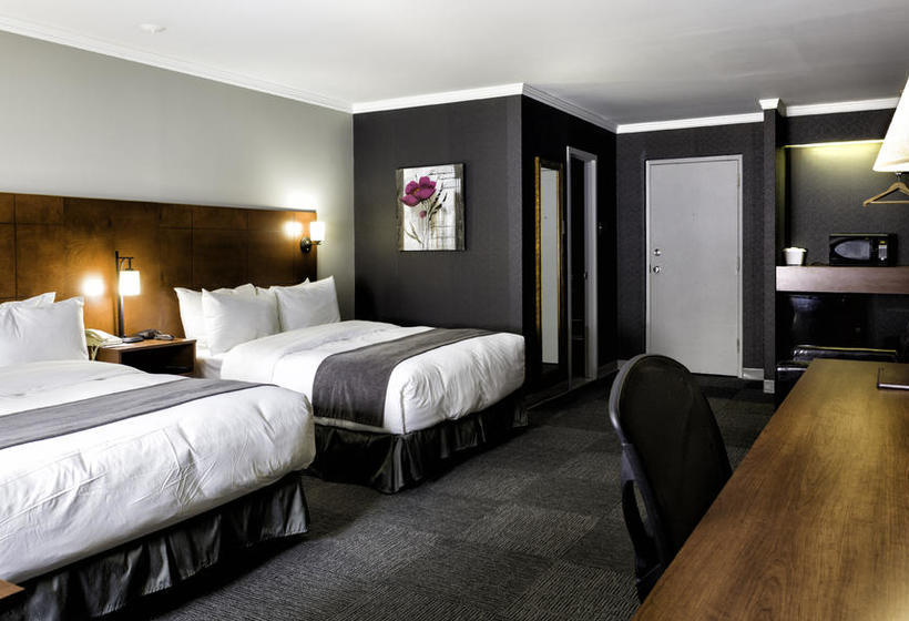 Motel Coconut | Trois Rivieres | Quebec | Canada 9