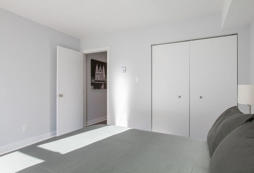 Lmvr - The Bull | Montreal | Quebec | Canada 12