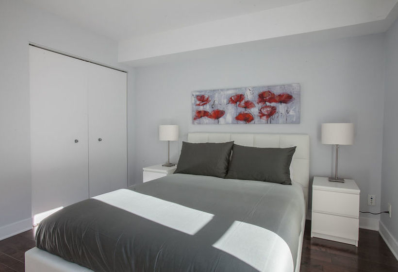 Lmvr - The Bull | Montreal | Quebec | Canada 14