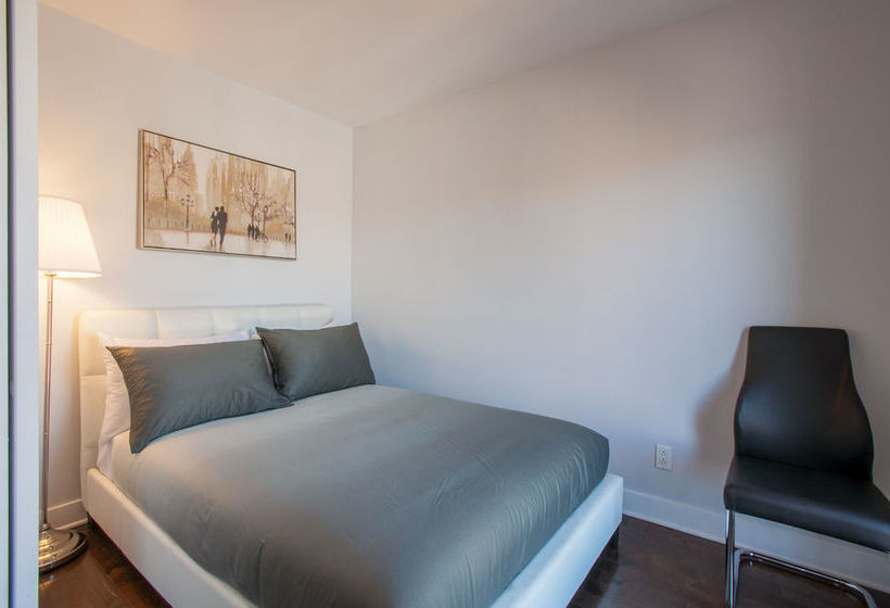 Lmvr - The Bull | Montreal | Quebec | Canada 17