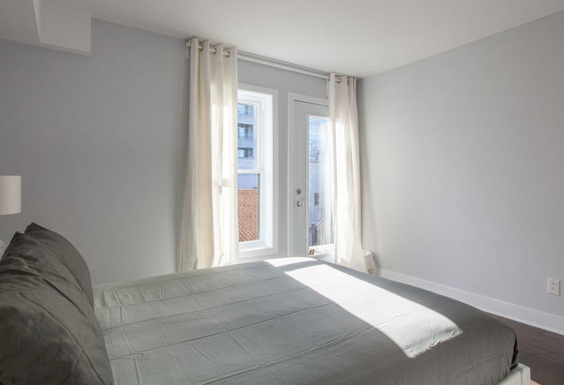 Lmvr - The Bull | Montreal | Quebec | Canada 6