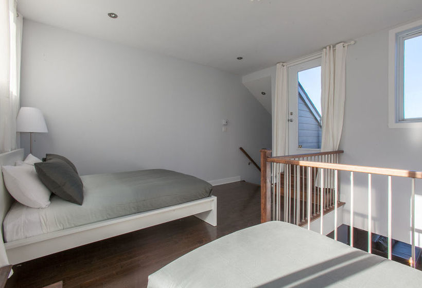 Lmvr - The Bull | Montreal | Quebec | Canada 7