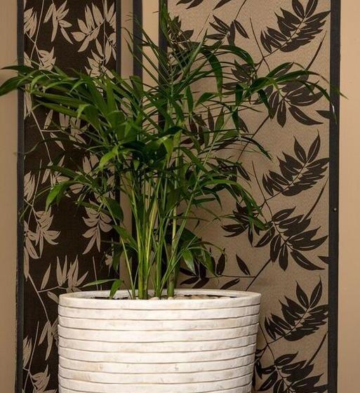 Bed and Breakfast Bed&Breakfast Mountainside | Wentworth Falls | New South Wales | Australia 13