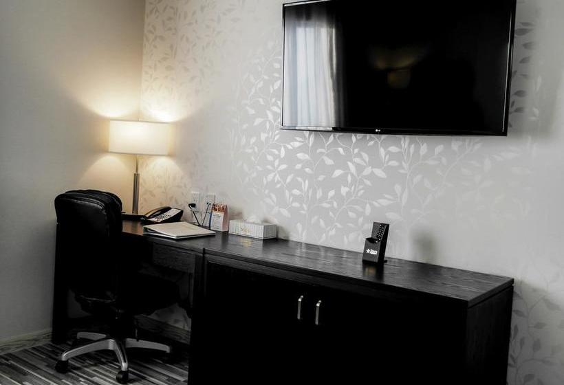 Hotel Stars Inn Edmonton International Airport | Leduc | Alberta | Canada 3