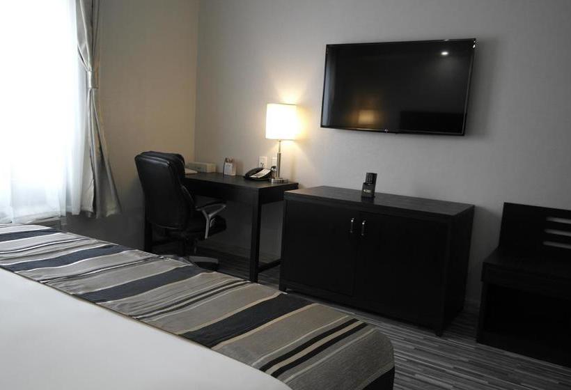 Hotel Stars Inn Edmonton International Airport | Leduc | Alberta | Canada 4