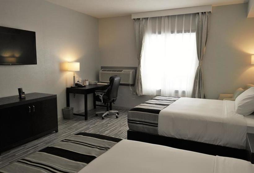 Hotel Stars Inn Edmonton International Airport | Leduc | Alberta | Canada 5