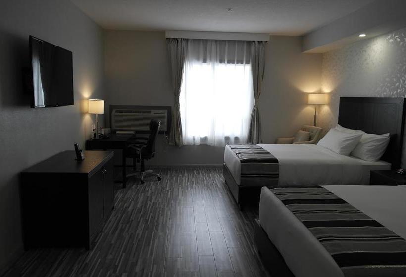 Hotel Stars Inn Edmonton International Airport | Leduc | Alberta | Canada 6