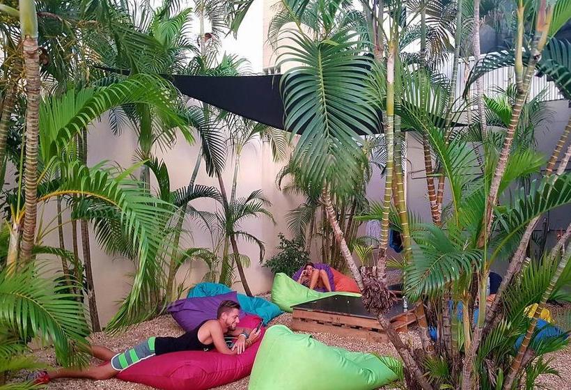 Down Under Hostels  Darwin